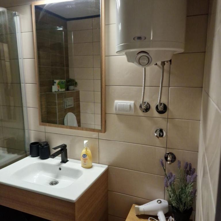 Apartman 318 - Sunčana Planina - Dvokrevetna Soba s Bračnim Krevetom/Zasebnim Krevetima i Kupatilom - 24