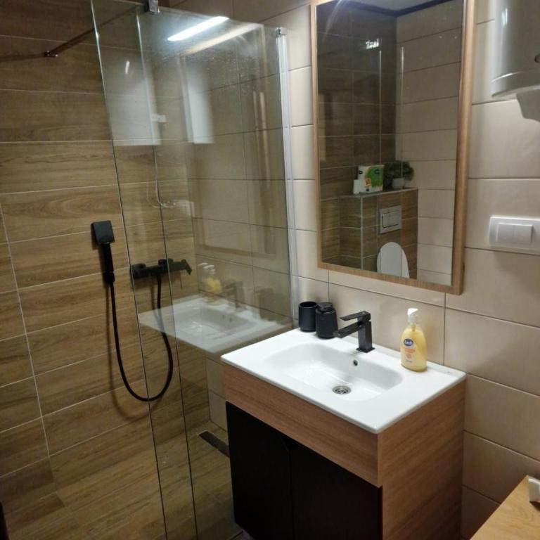 Apartman 318 - Sunčana Planina - Dvokrevetna Soba s Bračnim Krevetom/Zasebnim Krevetima i Kupatilom - 23
