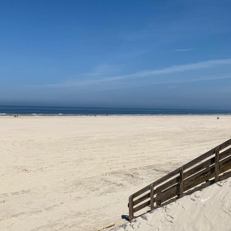 Hamac chic vue mer. - Apartment - 43