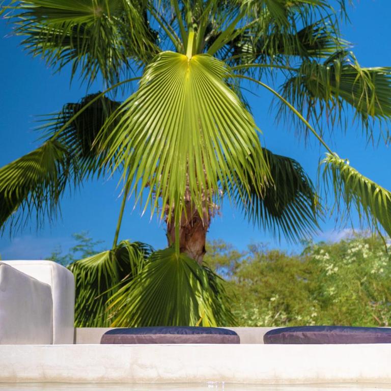 New Luxury Villa - Ocean View - Oxygen Pool - CASA SANA - Villa de 1 dormitorio - 12