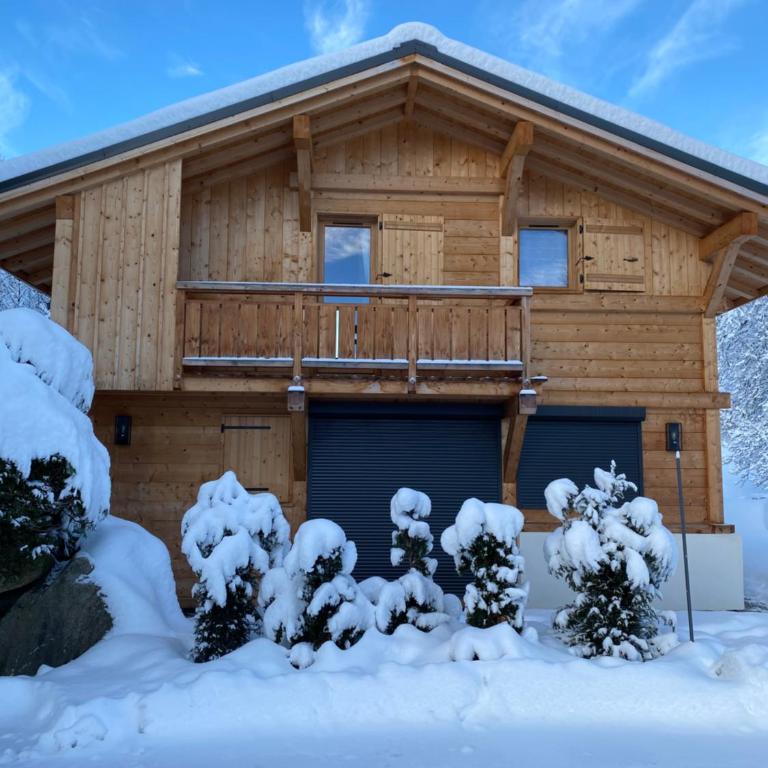 Chalet Charline - Chalet 3 Chambres - 1
