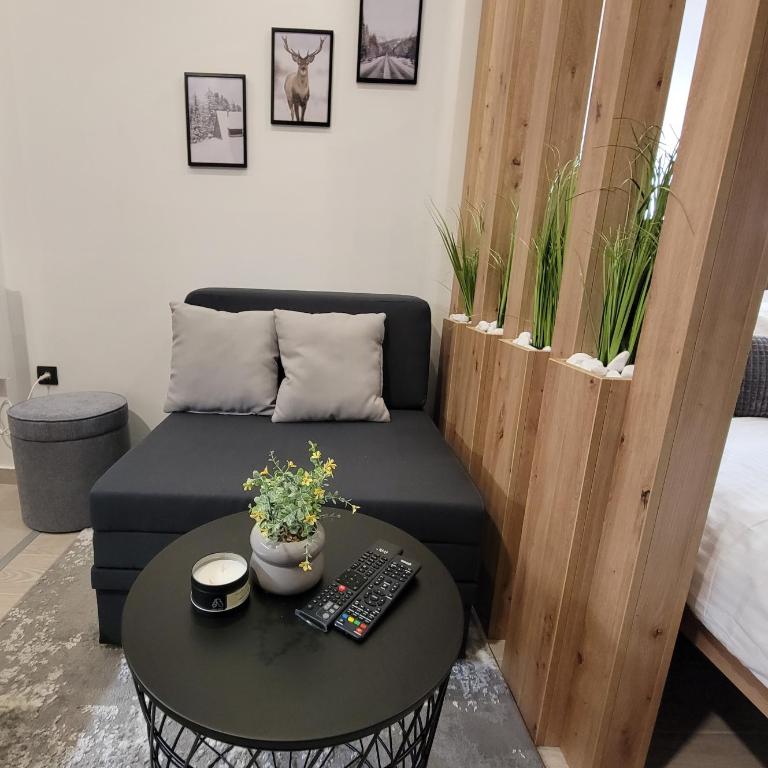 PIK Apartmani - Milmari - Deluks Studio - 5