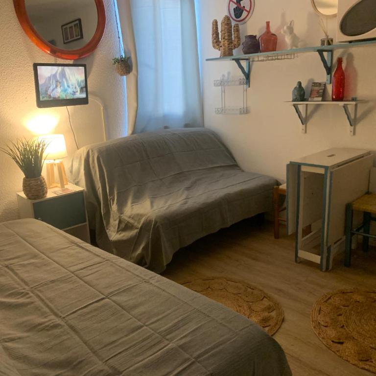 La Mongie Tourmalet, 2 a 4 couchages, pied de pistes, station de ski - Appartement 1 Chambre - 1
