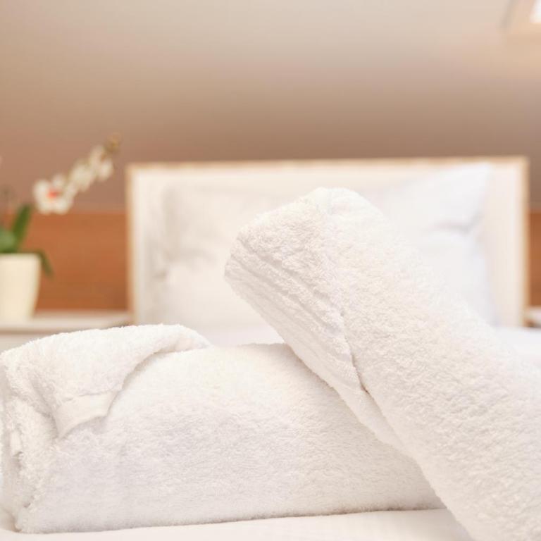 Neu! Moderner bayrischer Flair vor Pilatushaus - Apartment mit Sauna - 22