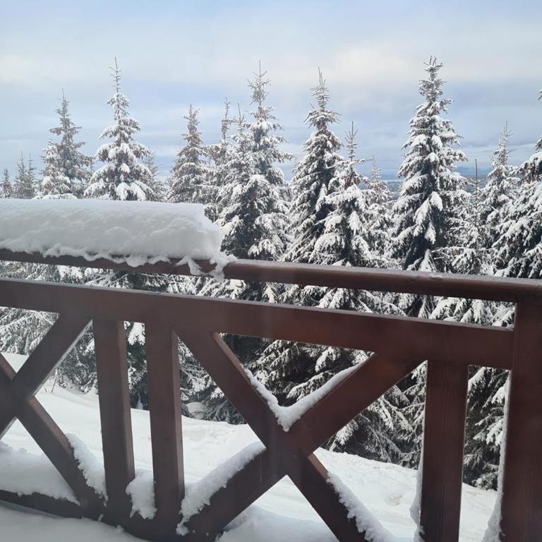 M Lux Kopaonik - Apartman sa 2 Spavaće Sobe - 16