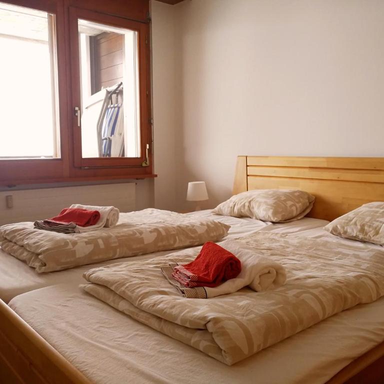Monte Rosa Apartments Täsch - Apartamento de 1 dormitorio - 4