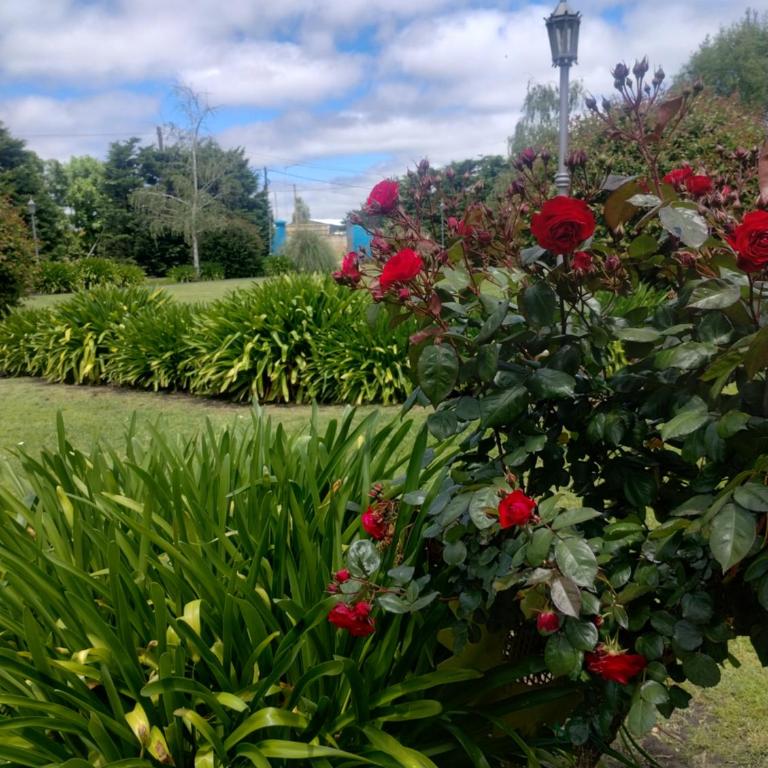 Cabañas Mapu Suyai - One-Bedroom House - 7