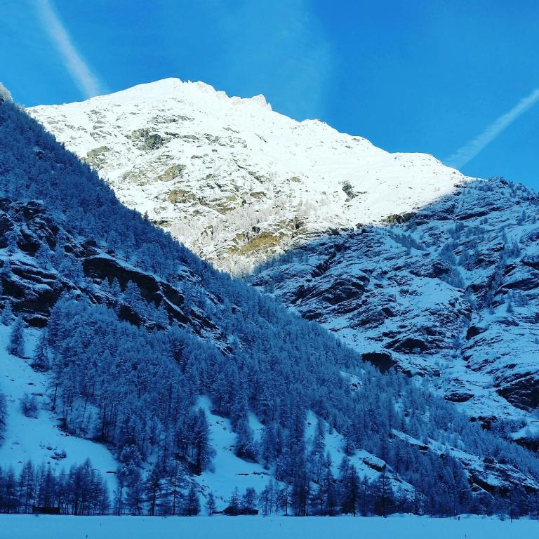 Monte Rosa Apartments Täsch - Apartamento de 2 dormitorios - 26