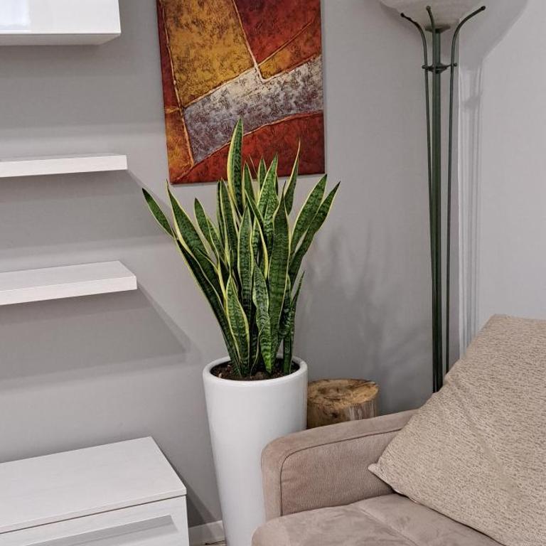 Marco Venice Apartment - Appartamento con 1 Camera da Letto - 17