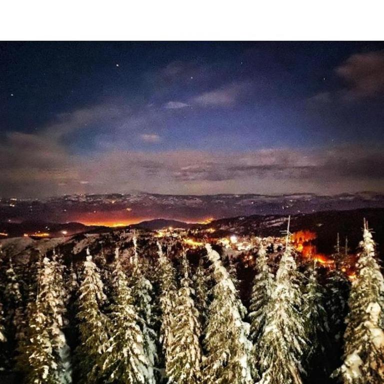 M Lux Kopaonik - Apartman sa 2 Spavaće Sobe - 17