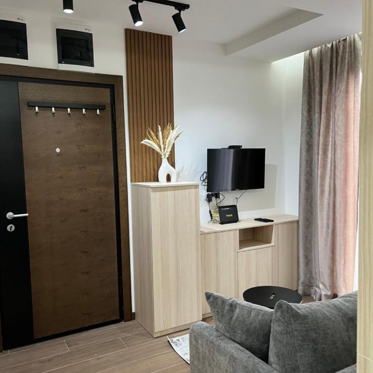 Apartman Borovi 11 Divčibare - One-Bedroom Apartment - 8