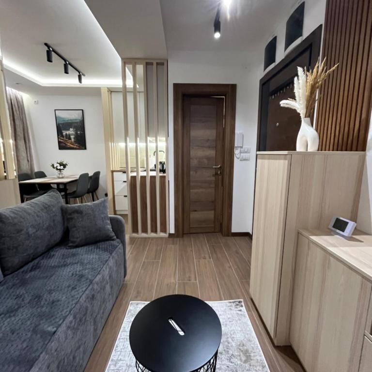 Apartman Borovi 11 Divčibare - One-Bedroom Apartment - 11