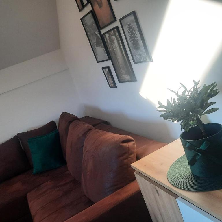 Pogled Apartmani - Zlatibor - Apartman sa 1 Spavaćom Sobom - 8