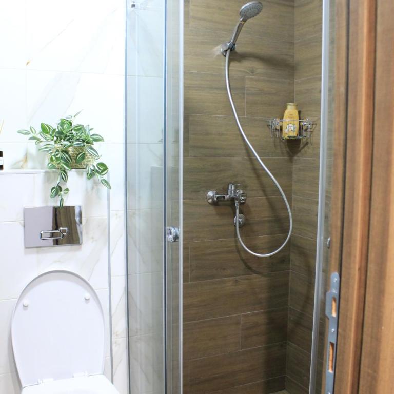 Dobro došli u Čarne vrhove! - One-Bedroom Apartment - 20