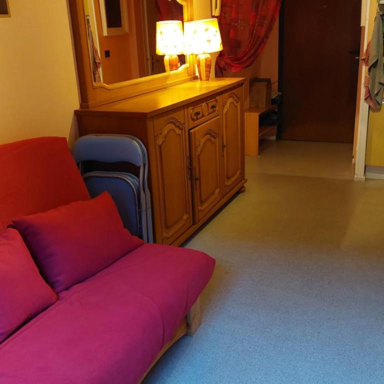 Appartement au pied de la Crémaillère Express - Appartement 1 Chambre - 2