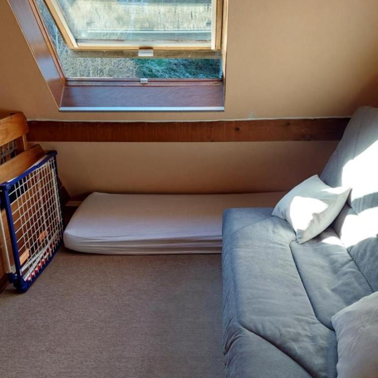Appartement au pied de la Crémaillère Express - Appartement 1 Chambre - 6