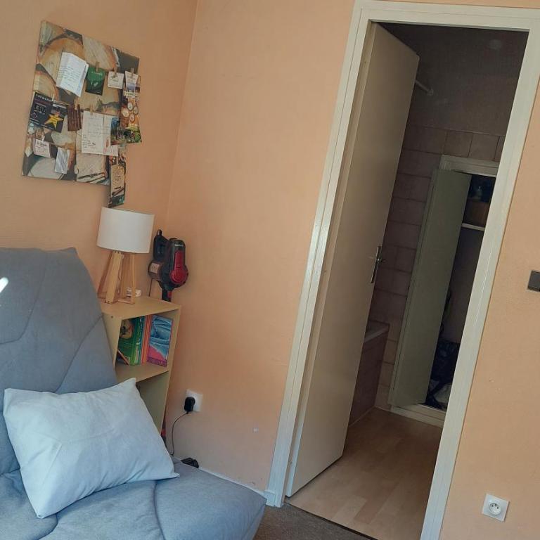 Appartement au pied de la Crémaillère Express - Appartement 1 Chambre - 7