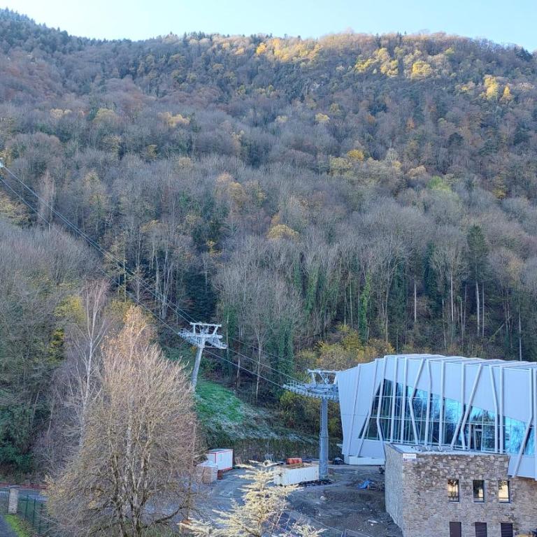 Appartement au pied de la Crémaillère Express - Appartement 1 Chambre - 10