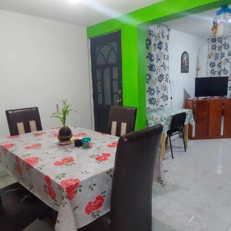 CASA VIOLETAS a 20 minutos de aeropuerto AIFA - Apartamento de 3 dormitorios - 14