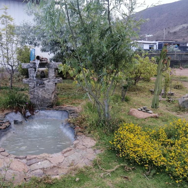 La Serena Casa Cabaña de campo entre cactus y colibríes - Casa Unifamiliar de 3 dormitorios - 15