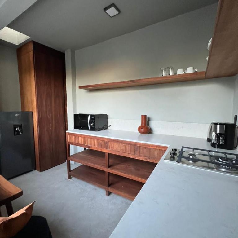Lofts Marques Oaxaca - Apartamento de 2 dormitorios - 44