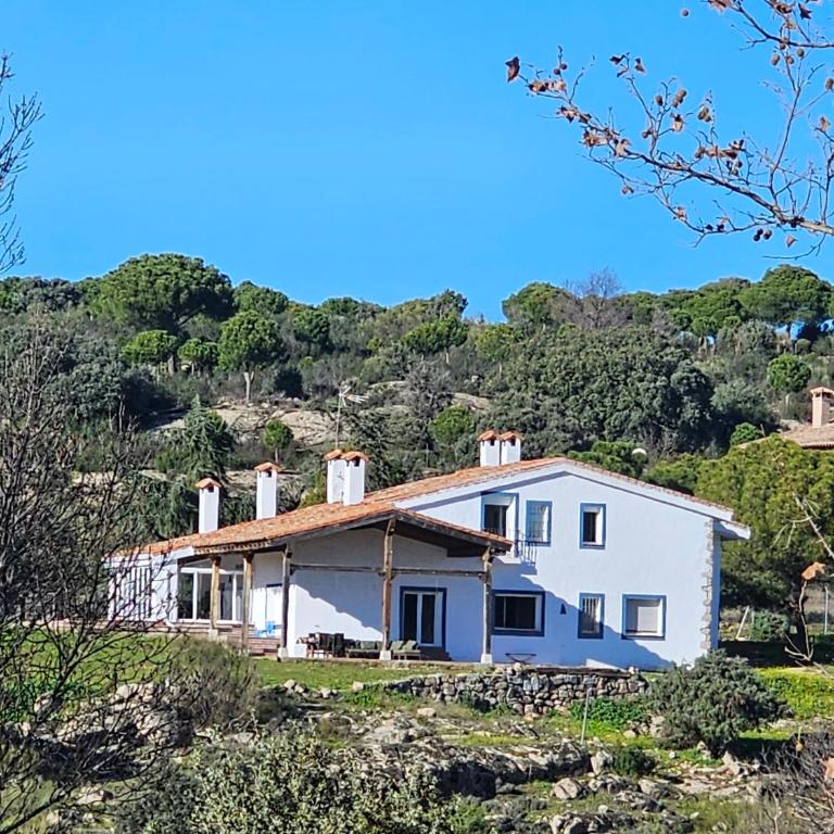 Finca Altair - Villa - 2