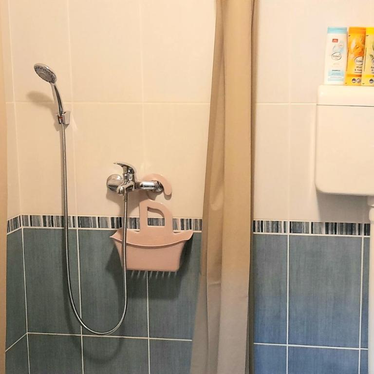 Skalar studio - Apartman sa 1 Spavaćom Sobom - 9