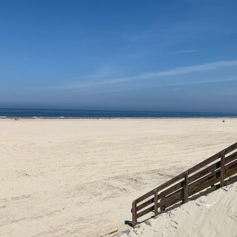 Hamac chic vue mer. - Apartment - 17