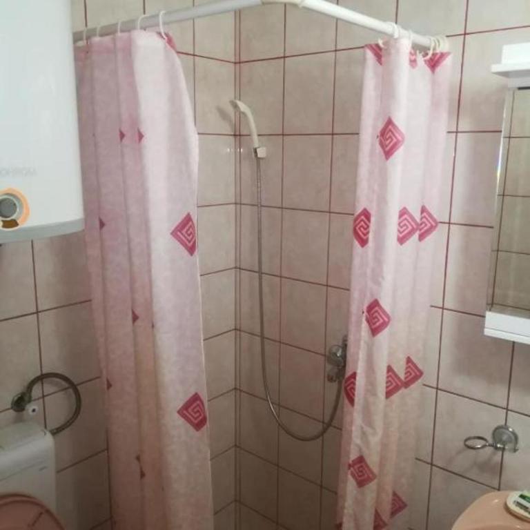 vila Zoran - Vila - 16