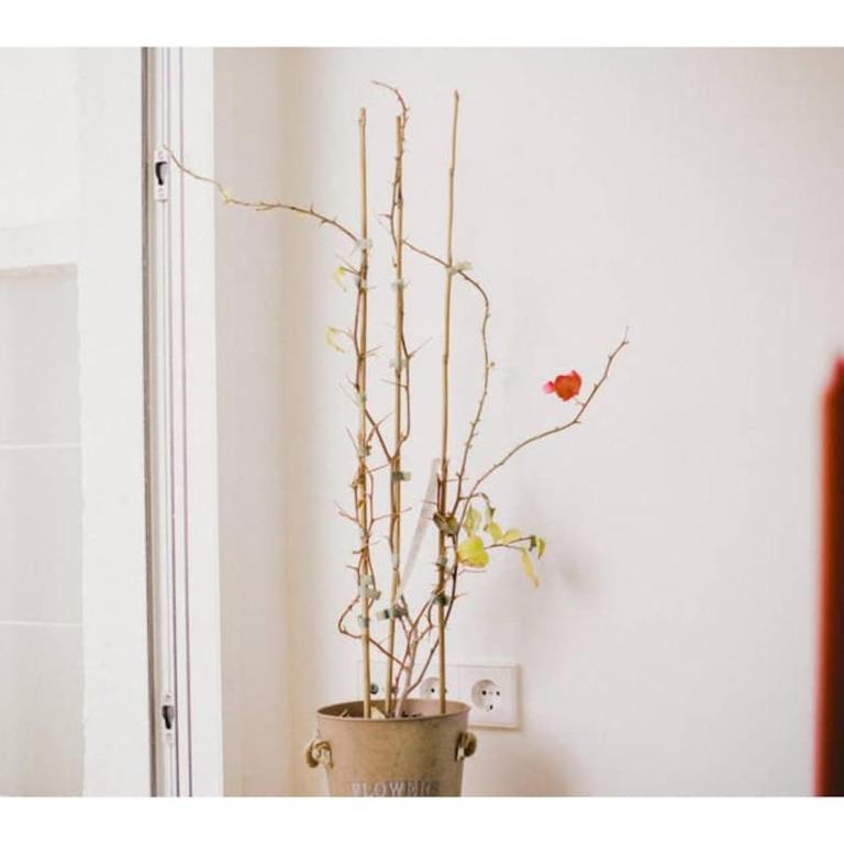 SkyLine penthouse in the heart of Madrid TET - Apartamento de 2 dormitorios - 4