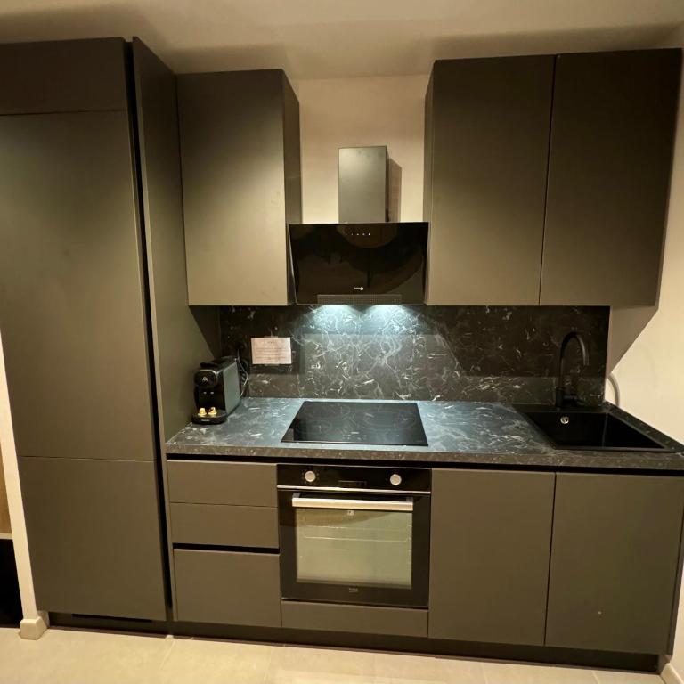 AURON 2P NEUF - Le Mont d'Auron - Appartement 1 Chambre - 6
