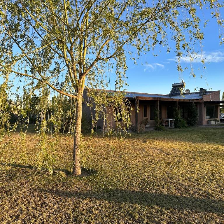 Casa entre viñas - Casa de 2 dormitorios - 20