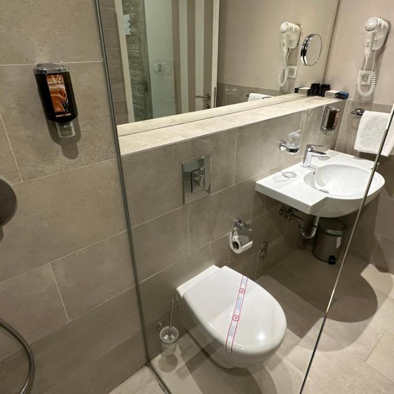 Hotel Aleksandar - Dvokrevetna Soba sa Bračnim Krevetom ili Zasebnim Krevetima, i Pomoćnim Ležajem - 10