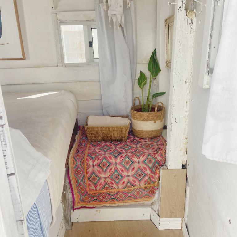 Salty House Cabo Polonio - Budget Double Room - 2