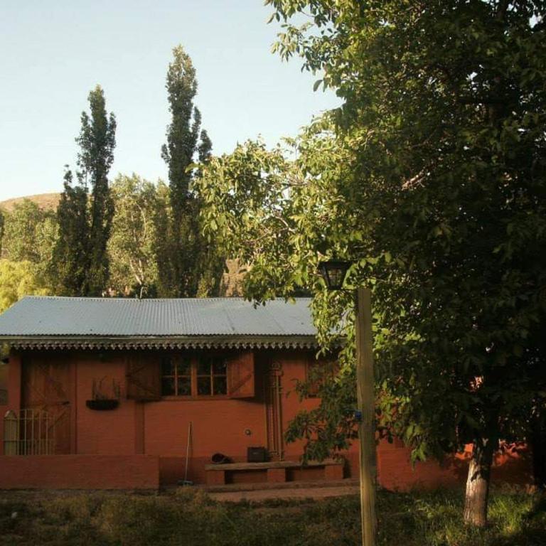 Cabaña en Potrerillos - Chalet de 1 dormitorio - 2