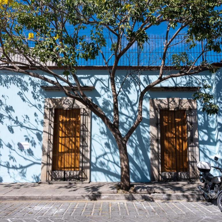 Suites Patio Antequera - Estudio Doble Deluxe - 4