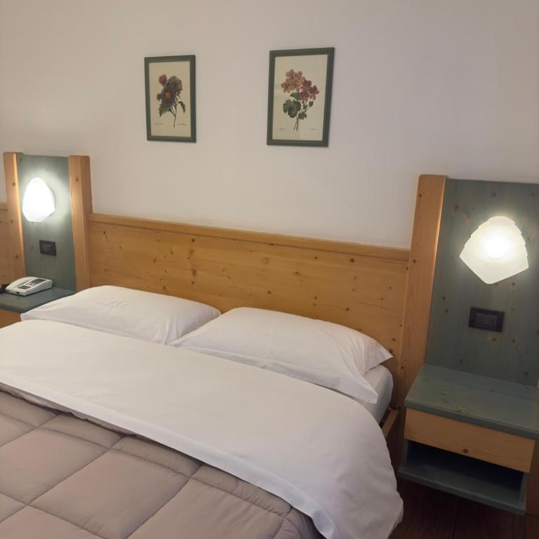 Hotel Zeni - Camera Matrimoniale con Vista Montagna - 7