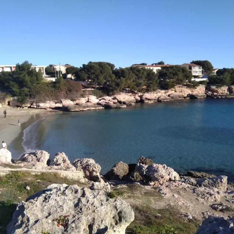 Carro duplex climatisé les pieds dans l'eau et la tête dans les pins - Apartment mit 1 Schlafzimmer - 3