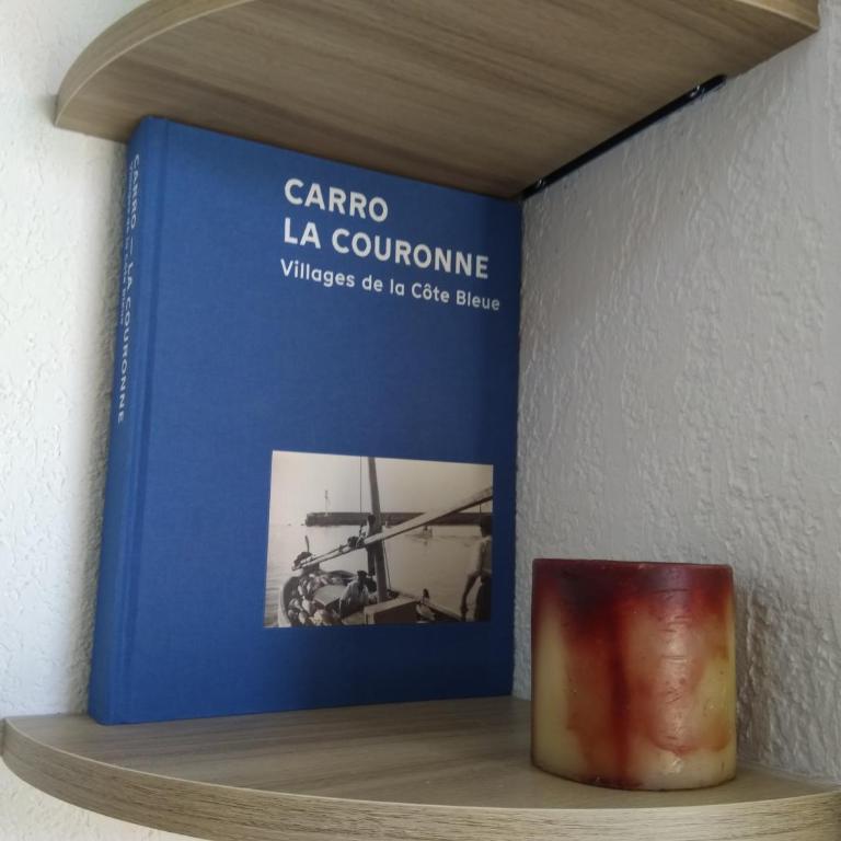 Carro duplex climatisé les pieds dans l'eau et la tête dans les pins - Apartment mit 1 Schlafzimmer - 20