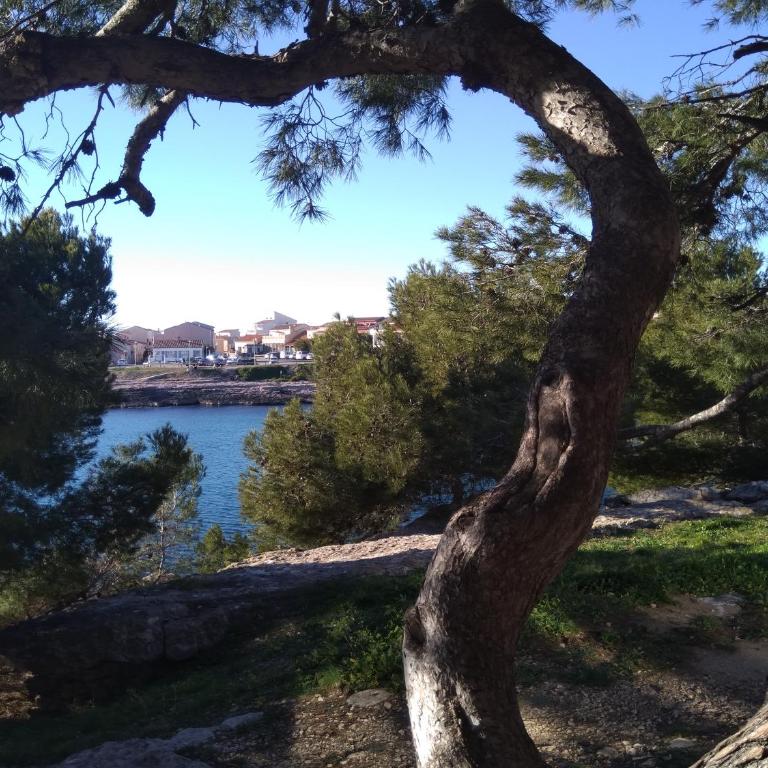 Carro duplex climatisé les pieds dans l'eau et la tête dans les pins - Apartment mit 1 Schlafzimmer - 14