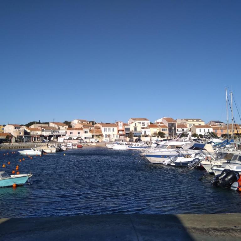 Carro duplex climatisé les pieds dans l'eau et la tête dans les pins - Apartment mit 1 Schlafzimmer - 4