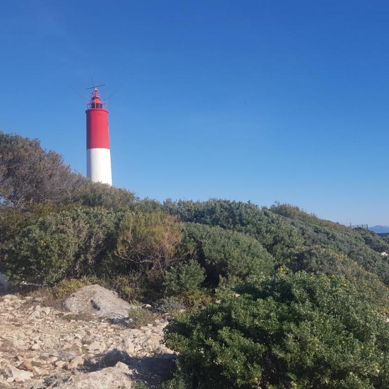 Carro duplex climatisé les pieds dans l'eau et la tête dans les pins - Apartment mit 1 Schlafzimmer - 18