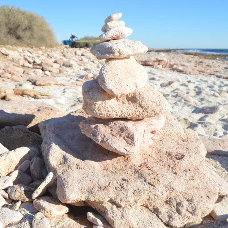 Carro duplex climatisé les pieds dans l'eau et la tête dans les pins - Apartment mit 1 Schlafzimmer - 21