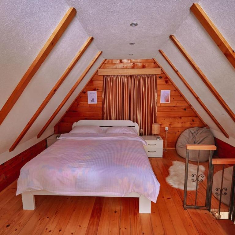 Brvnare Tomovic - Haus mit 1 Schlafzimmer - 2