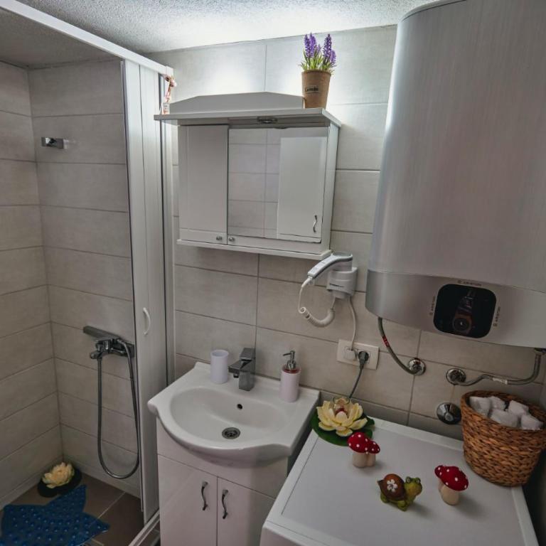 Brvnare Tomovic - Haus mit 1 Schlafzimmer - 9