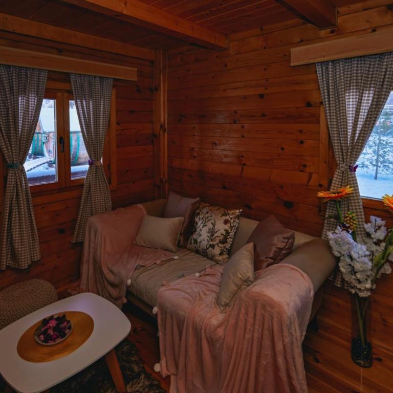 Brvnare Tomovic - Haus mit 1 Schlafzimmer - 15