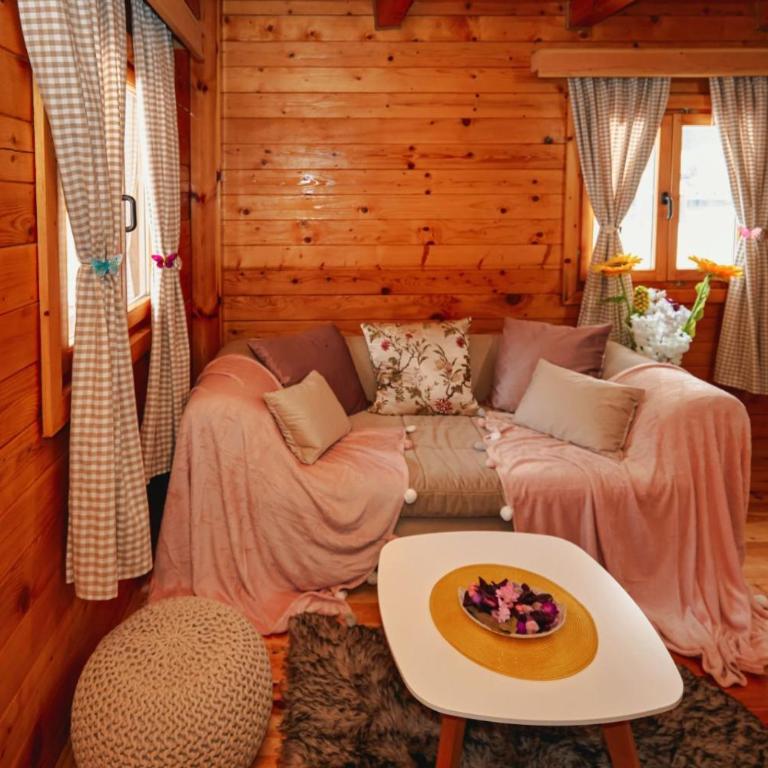 Brvnare Tomovic - Haus mit 1 Schlafzimmer - 18