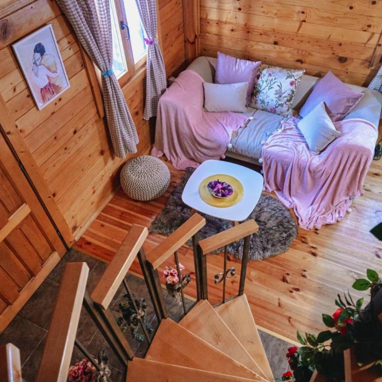 Brvnare Tomovic - Haus mit 1 Schlafzimmer - 23