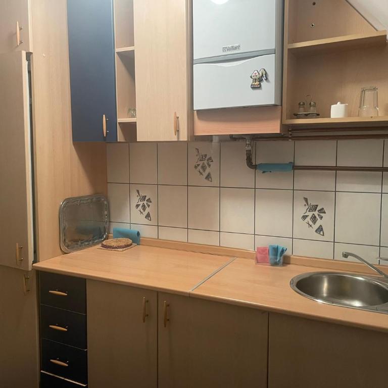 Sarajevo View - Fresh air - Apartman sa 1 Spavaćom Sobom - 10