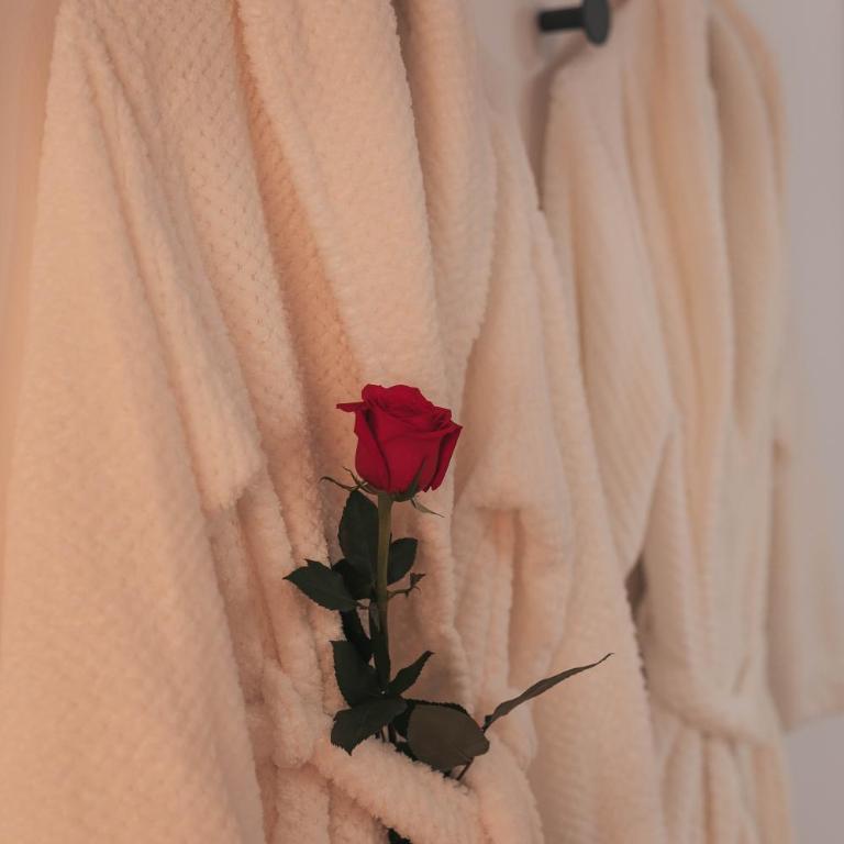 Luxury Jacuzzi Apartment - One-Bedroom Apartment - 2